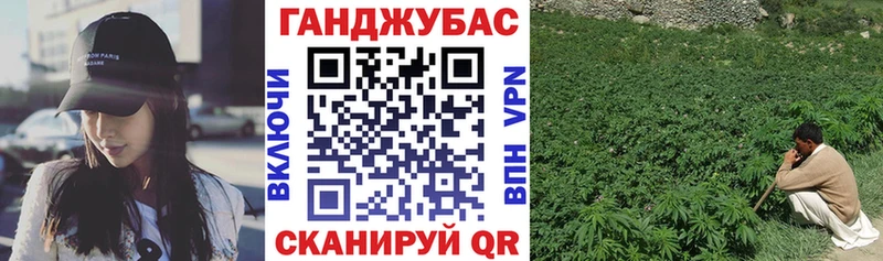 купить  цена  Власиха  Каннабис Amnesia 